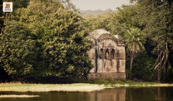 Ranthambore 6