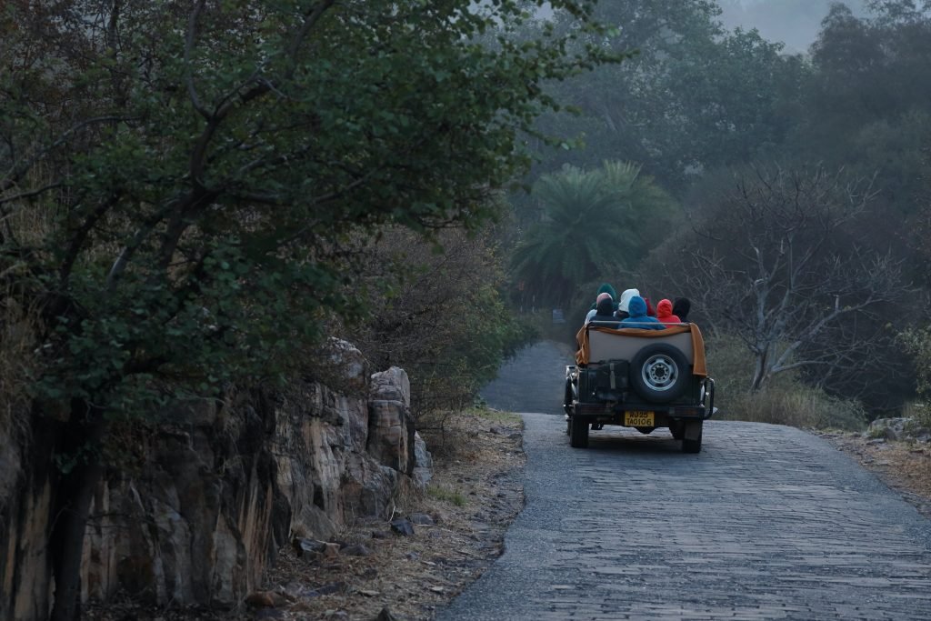 Ranthambore img10